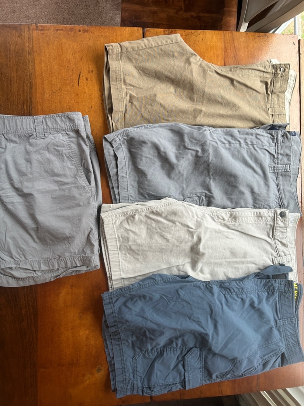 Assorted Men's Casual Shorts - Neutral & Blue Tones